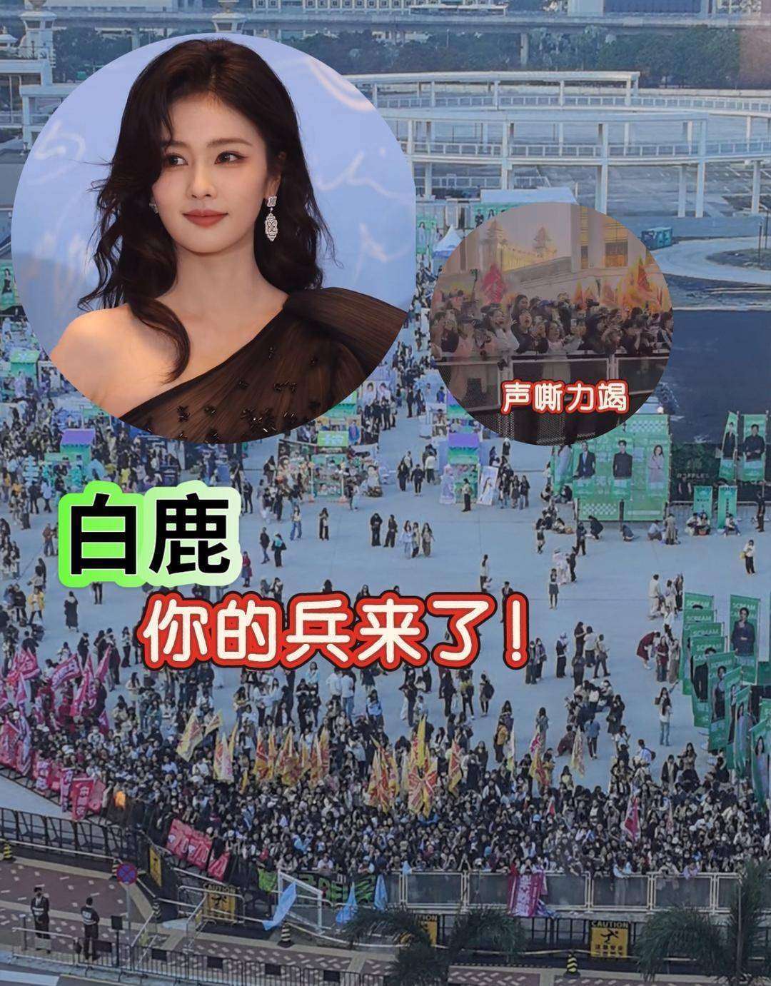 白鹿被黑?六连声明辟谣,人设崩塌反转真相