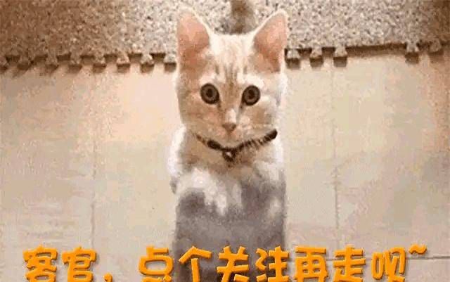 白鹿事件新进展:发十万红包能否挽回口碑?