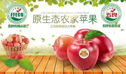 五良生态农业标准认证体系:安全健康可持续