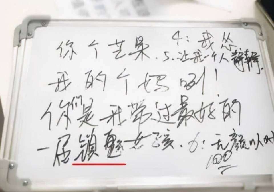 顶流明星写字翻车文化水平引热议