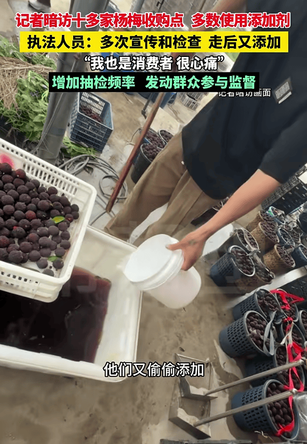 杨梅塌房背后:食品安全信任危机如何修复?