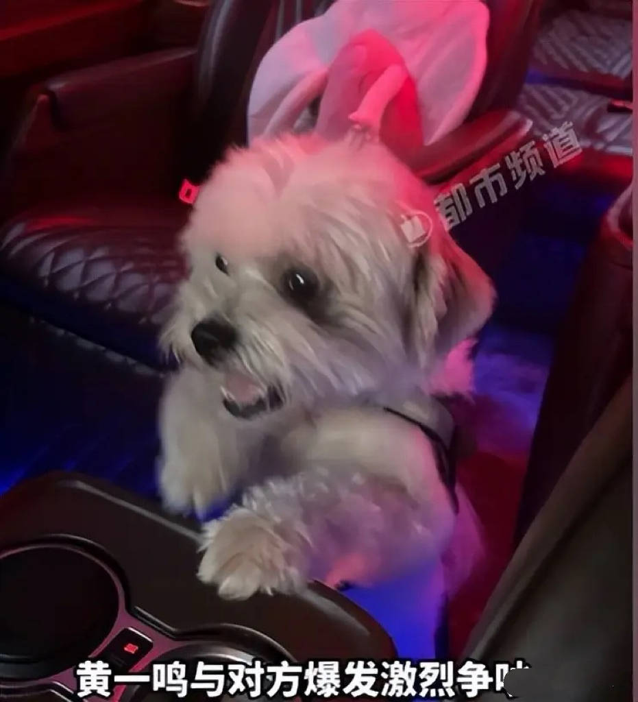 百万网红黄一鸣人设崩塌:前男友实锤虐狗