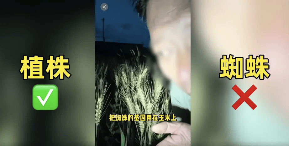 200万网红抹黑袁隆平：杂交水稻谣言曝光