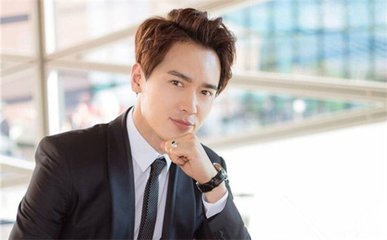艺人高云翔悉尼涉性侵被捕,形象受损